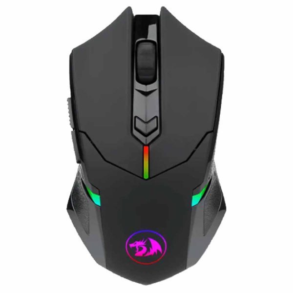 Centrophorus 2 M601